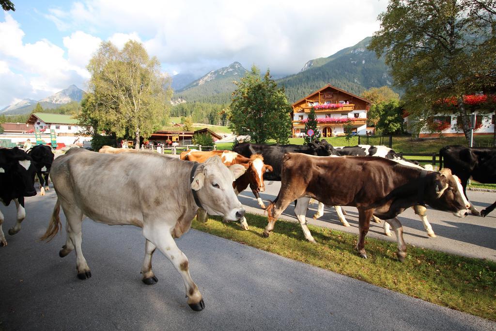 Ivos Sonnenpension Leutasch Esterno foto